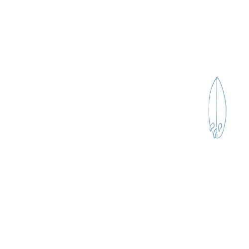 Tahiti Surf Films Contest